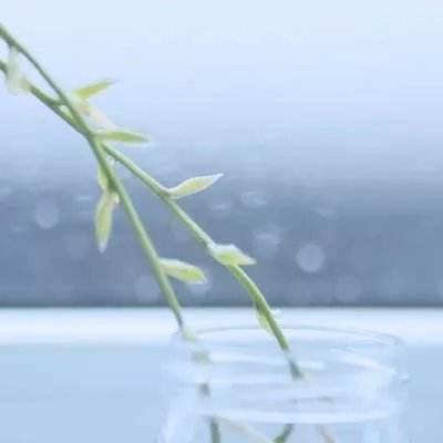 BOB体育综合下载平台